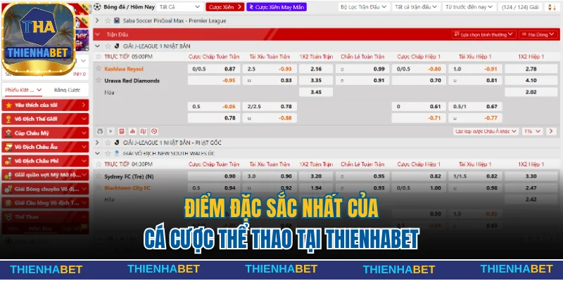 Khám phá sức hút của cá cược thể thao tại nhà cái Thienhabet