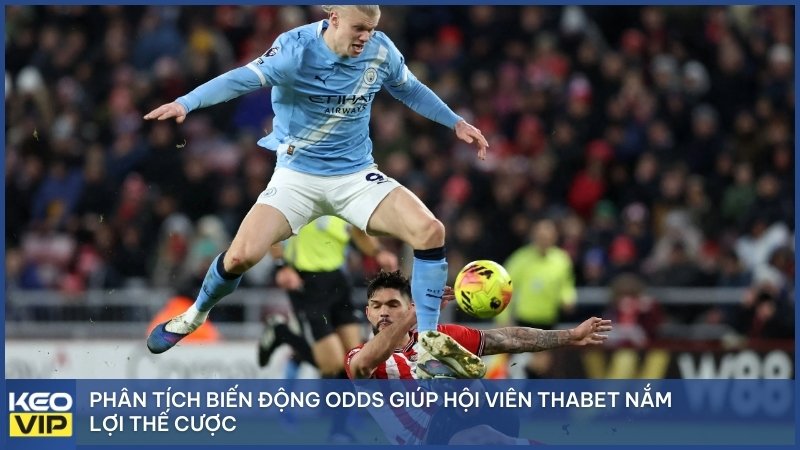 Phân tích biến động Odds giúp hội viên THABET nắm lợi thế cược