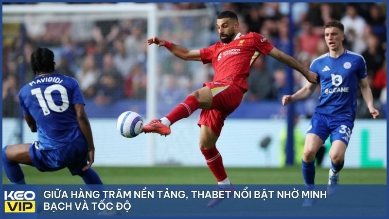 Giữa hàng trăm nền tảng, THABET nổi bật nhờ minh bạch và tốc độ